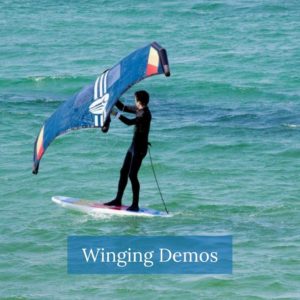 Winging Demos